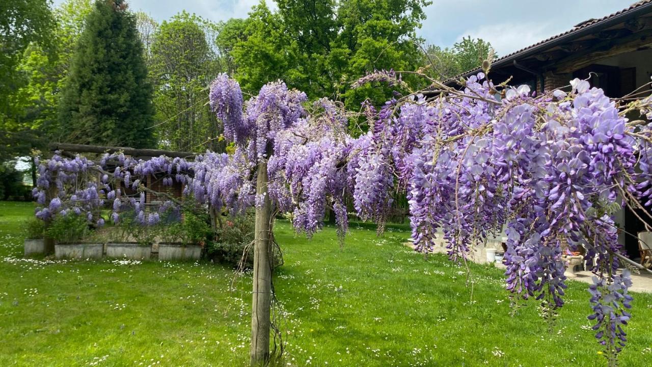 Villa Giulia - Marguareis Peveragno Exteriér fotografie